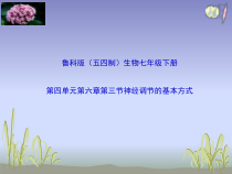 《第三节 神经调节的基本方式》PPT课件4-鲁科版生物七年级下册
