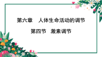 《第四节 激素调节》PPT课件2-鲁科版生物七年级下册