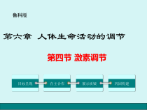 《第四节 激素调节》PPT课件3-鲁科版生物七年级下册