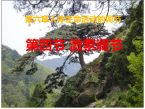 《第四节 激素调节》PPT课件4-鲁科版生物七年级下册