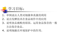 《第五节 人类对细菌和真菌的利用》PPT课件5-鲁科版生物七年级下册