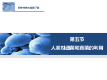 《第五节 人类对细菌和真菌的利用》PPT课件2-鲁科版生物七年级下册