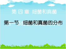 《第一节 细菌和真菌的分布》PPT课件2-鲁科版生物七年级下册