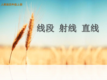 数学四年级上册《线段、直线、 射线、角》优秀课件-【人教版】