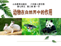 《第一节 动物在自然界中的作用》PPT课件1-鲁科版生物八年级上册