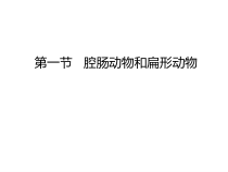 《第一节 腔肠动物和扁形动物》PPT课件1-鲁科版生物八年级上册