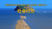 《第三节 社会行为》PPT课件1-鲁科版生物八年级上册