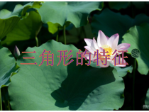 数学四年级下册《三角形的特性》PPT课件1-【人教版】