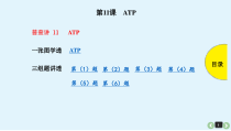 (通用版)高考生物一轮复习课件：第11课-ATP(含解析)