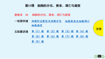 (通用版)高考生物一轮复习课件：第15课-细胞的分化、衰老、凋亡与癌变(含解析)