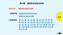 (通用版)高考生物一轮复习课件：第18课-基因的自由组合定律(含解析)