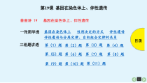 (通用版)高考生物一轮复习课件：第19课-基因在染色体上、伴性遗传(含解析)