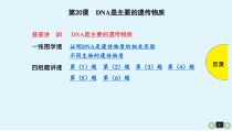 (通用版)高考生物一轮复习课件：第20课-DNA是主要的遗传物质(含解析)