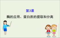 (通用版)高考生物一轮复习课件1.3酶的应用蛋白质的提取和分离(含解析)
