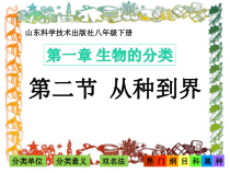 鲁科版生物八年级下册（课件7份可预览）