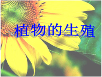 《第一节 植物的生殖》PPT课件2-鲁科版生物八年级下册