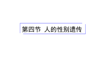 《第四节 人的性别遗传》PPT课件3-鲁科版生物八年级下册