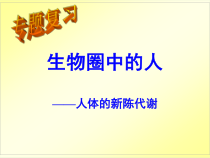 《生物圈中的人-人体的新陈代谢》PPT课件1-鲁科版生物八年级下册