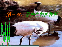 《第二节 保护生物的多样性》PPT课件5-鲁科版生物八年级下册