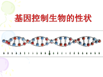 《第二节 基因控制生物的性状》PPT课件2-鲁科版生物八年级下册