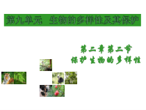 《第二节 保护生物的多样性》PPT课件1(1)-鲁科版生物八年级下册