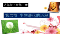 《第二节 生物进化的历程》PPT课件2(1)-鲁科版生物八年级下册