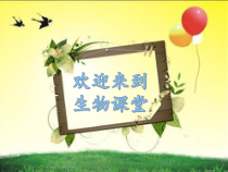《第三节 鸟的生殖和发育》PPT课件4-鲁科版生物八年级下册