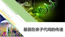 《第三节 基因在亲子代间的传递》PPT课件1-鲁科版生物八年级下册