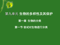 《第一节 尝试对生物进行分类》PPT课件1-鲁科版生物八年级下册
