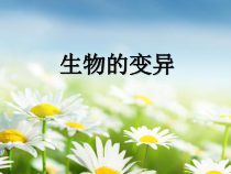 《第五节 生物的变异》PPT课件1-鲁科版生物八年级下册