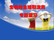 《第一节 植物的生殖》PPT课件1-鲁科版生物八年级下册
