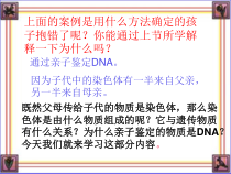 《第一节 遗传的物质基础》PPT课件2-鲁科版生物八年级下册