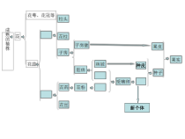 《第一节 植物的生殖》PPT课件3-鲁科版生物八年级下册