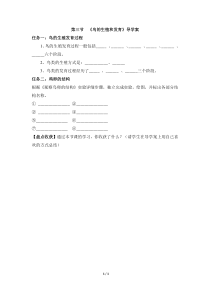 《第三节 鸟的生殖和发育》导学案-鲁科版生物八年级下册