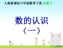 数学六年级下册《数的认识》PPT课件2-【人教版】