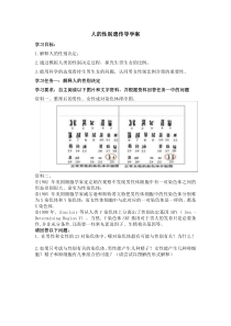 《第四节 人的性别遗传》导学案1-鲁科版生物八年级下册