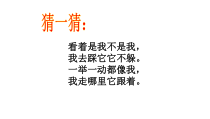 部编版（五四制）语文一年级上册《5 影子》PPT课件 (2)
