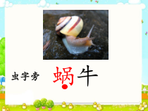 部编版（五四制）语文一年级上册《14 小蜗牛》PPT课件