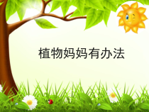部编版（五四制）语文二年级上册《3 植物妈妈有办法》PPT课件 (3)