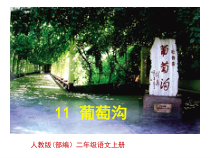 部编版（五四制）语文二年级上册《11 葡萄沟》PPT课件