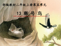 部编版（五四制）语文二年级上册《13 寒号鸟》PPT课件