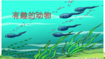 部编版（五四制）语文二年级上册《口语交际：有趣的动物》PPT课件 (3)