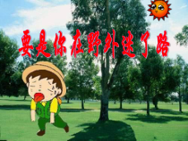 部编版（五四制）语文二年级下册《17 要是你在野外迷了路》PPT课件 (3)