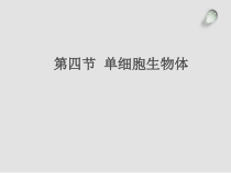 《第四节 单细胞生物体》PPT课件1-冀少儿版生物七年级上册