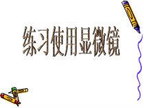 《第二节 学会观察》PPT课件1-冀少儿版生物七年级上册
