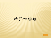 《第六节 被子植物》PPT课件3-冀少儿版生物七年级上册