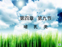 《第九节 哺乳类》PPT课件3-冀少儿版生物七年级上册