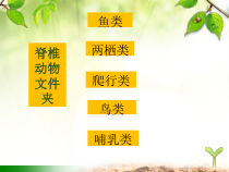 《第九节 哺乳类》PPT课件1-冀少儿版生物七年级上册