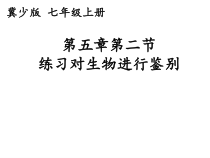 《第二节 练习对生物进行鉴别》PPT课件1-冀少儿版生物七年级上册