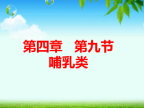 《第九节 哺乳类》PPT课件2-冀少儿版生物七年级上册